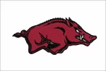 Arkansas Razorbacks embroidery design