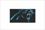 Carolina Panthers Outline