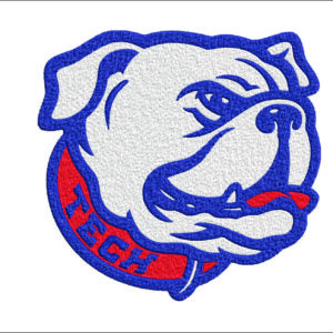 Louisiana Tech Bulldog