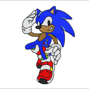 Sonic the hedgehog